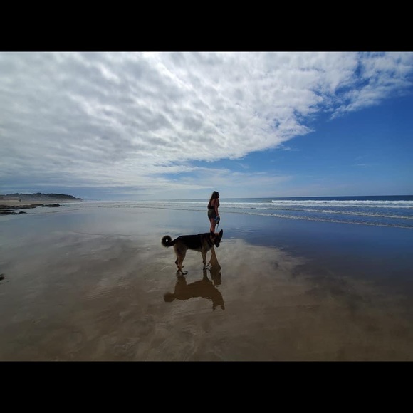 Meet your Posher, Maddy - Picture 1 of 1